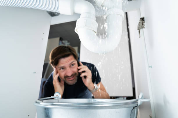 Best Local Plumber Services  in South Pottstown, PA